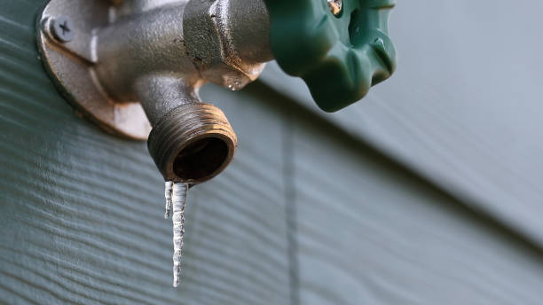 Best Sprinkler Systems  in Pleasant Hills, PA